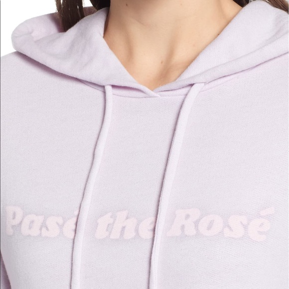 WildFox Pasé the Rosé Ivy Hoodie - Picture 4 of 8